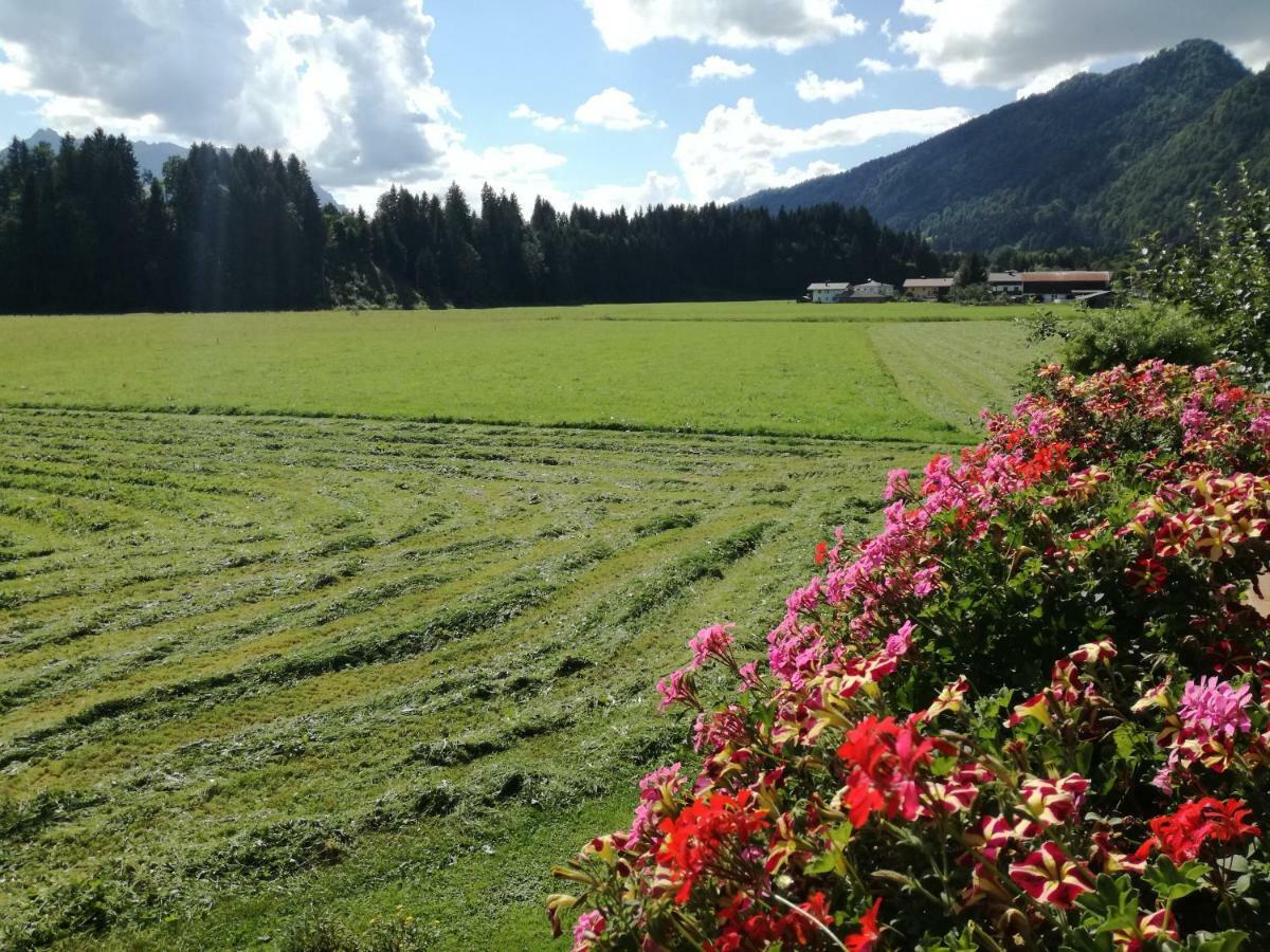 Gaestehaus Gruenbacher Kössen Eksteriør bilde