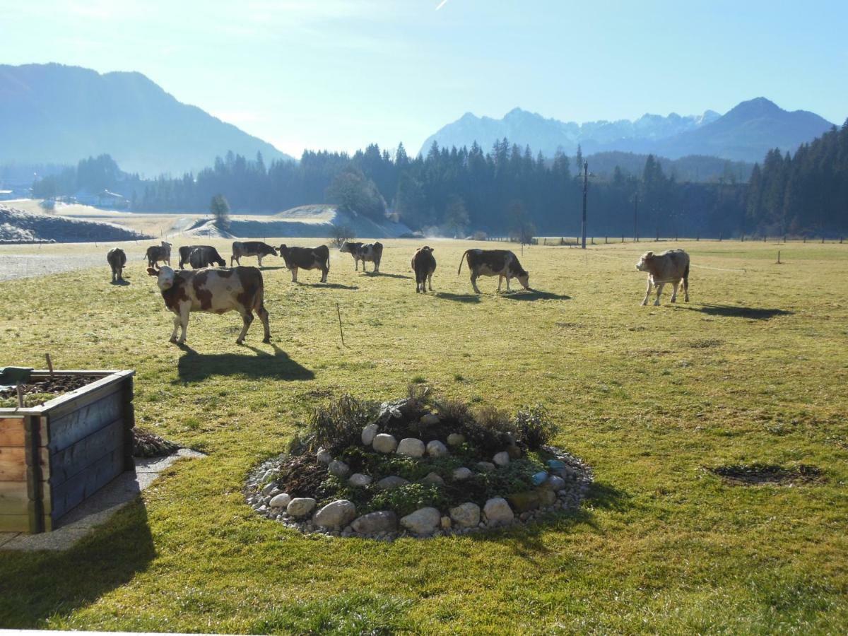 Gaestehaus Gruenbacher Kössen Eksteriør bilde